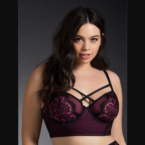 Torrid Strappy Mesh Lace Long Line Bra